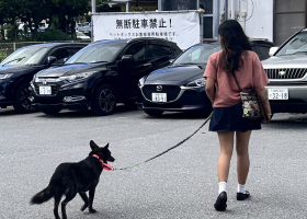 私たちについて