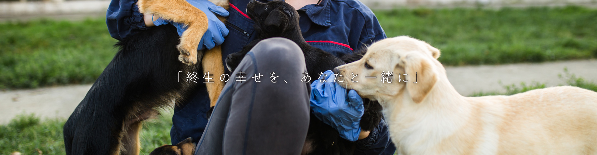 終生の幸せをあなたと一緒に