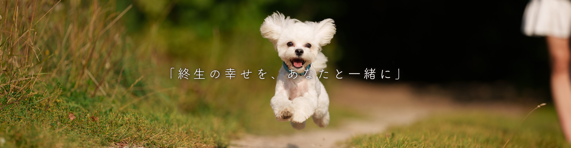 終生の幸せをあなたと一緒に