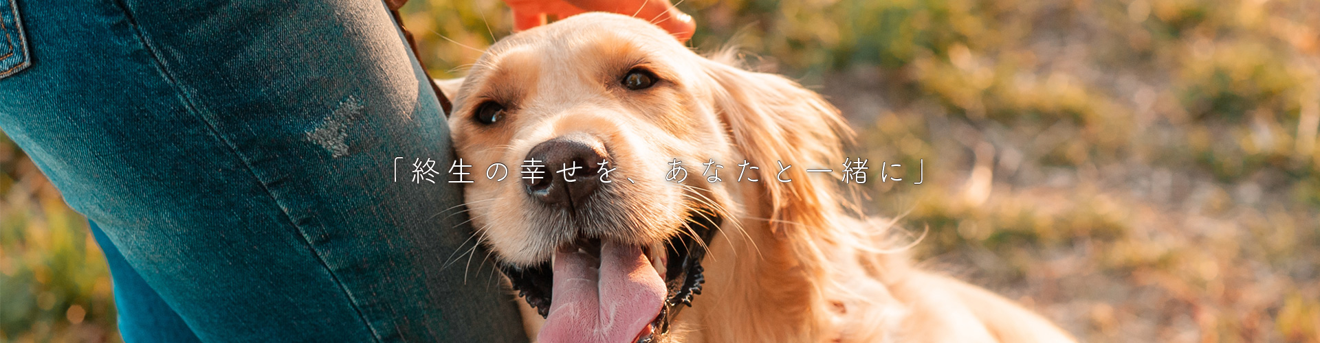 終生の幸せをあなたと一緒に