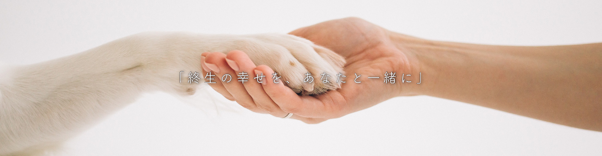 終生の幸せをあなたと一緒に