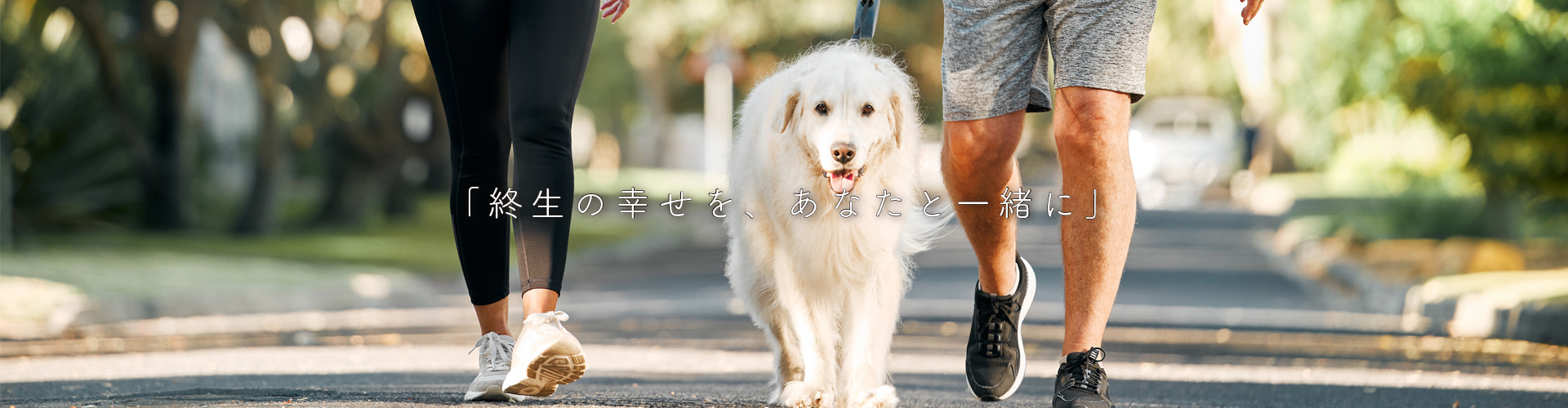 終生の幸せをあなたと一緒に